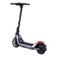 Ninebot P65/100